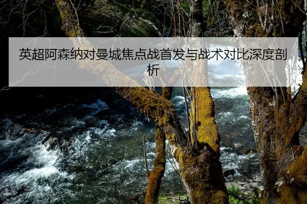 英超阿森纳对曼城焦点战首发与战术对比深度剖析